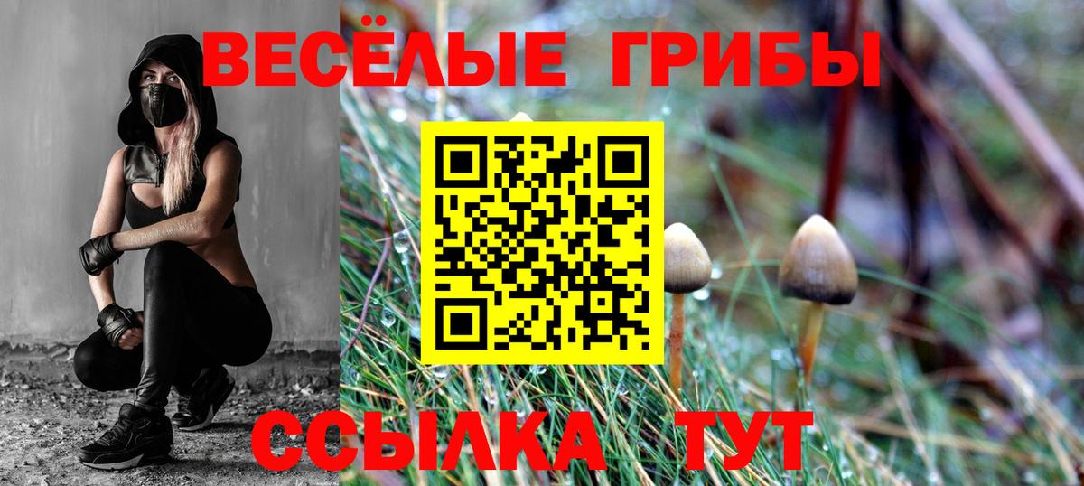 Галлюциногенные грибы Cubensis Черногорск