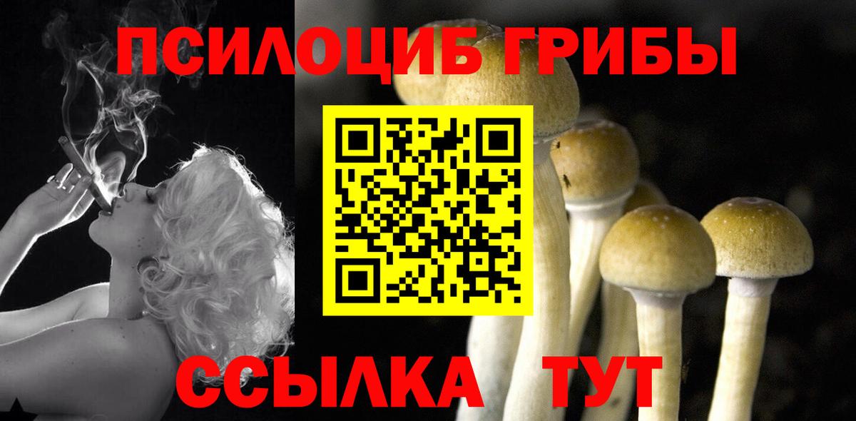 Черногорск  Псилоцибиновые грибы прущие грибы  Вход с VPN 